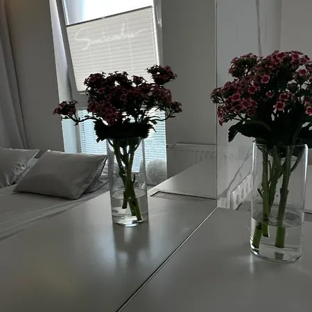 Apartament Plaza Polnoc *
